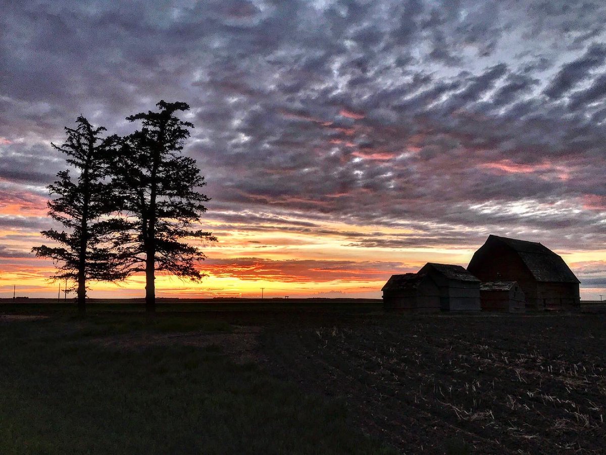 Aisling_HkyMom's tweet photo. ‘On the prairie, one can see the colour of the air’ - Emily Murphy

#saskatchewan #landofthelivingskies #fourmileroad #hwy39 #sunset https://t.co/SySbUTlnnn