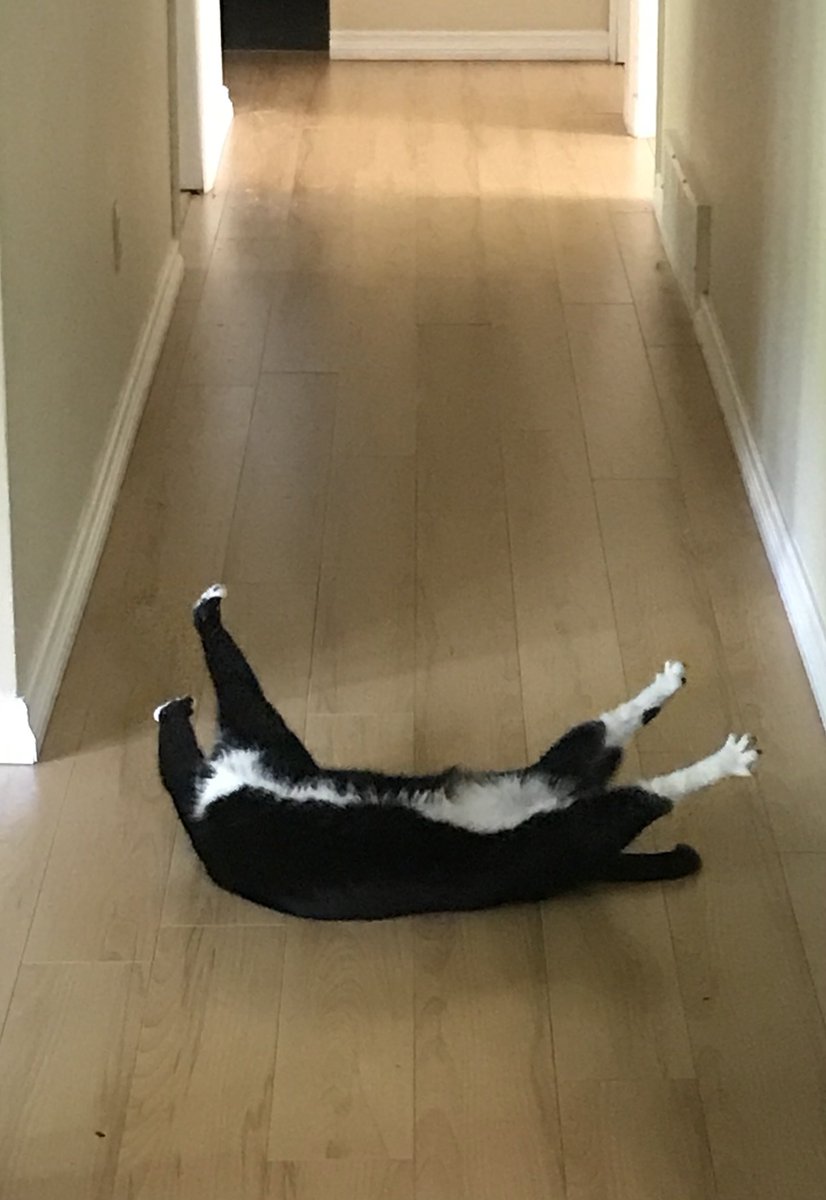 LllBean1's tweet photo. Stretch.

Don't forget to stretch before beginning an activity. https://t.co/keNJ41vfxV