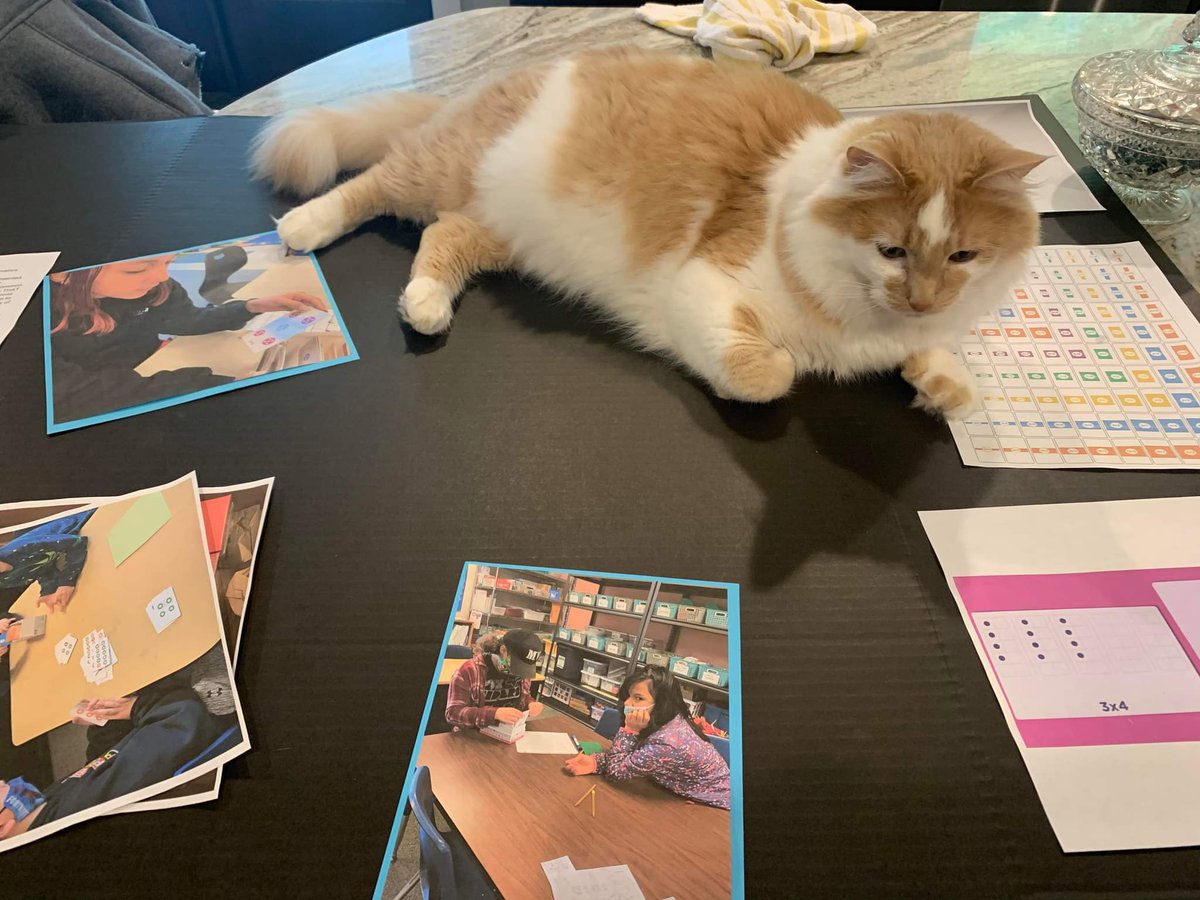 SVSFoundation tweet media