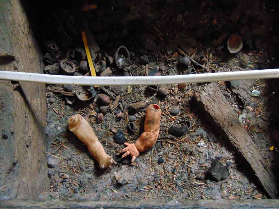 matthew champion tweet media