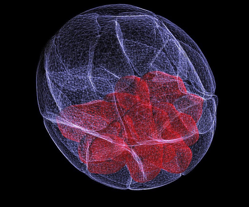 Magdalena Zernicka-Goetz tweet media