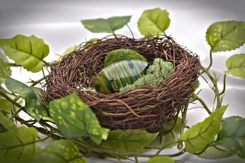 Lockjaw, 🔜 @TFF 2026 DD! tweet media