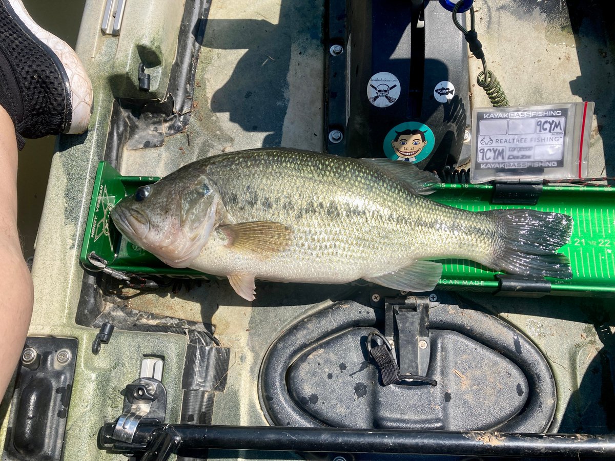 miacalva's tweet image. I reflected, I traveled and I fished this weekend. The bite was tough but when I caught a few, I caught a few good ones! I need that as I begin a brutal stretch of 3 tournaments in the span of 3 weekends. Let's go! #ketchteam #jacksonbiteFD #RebelPopR #rapala