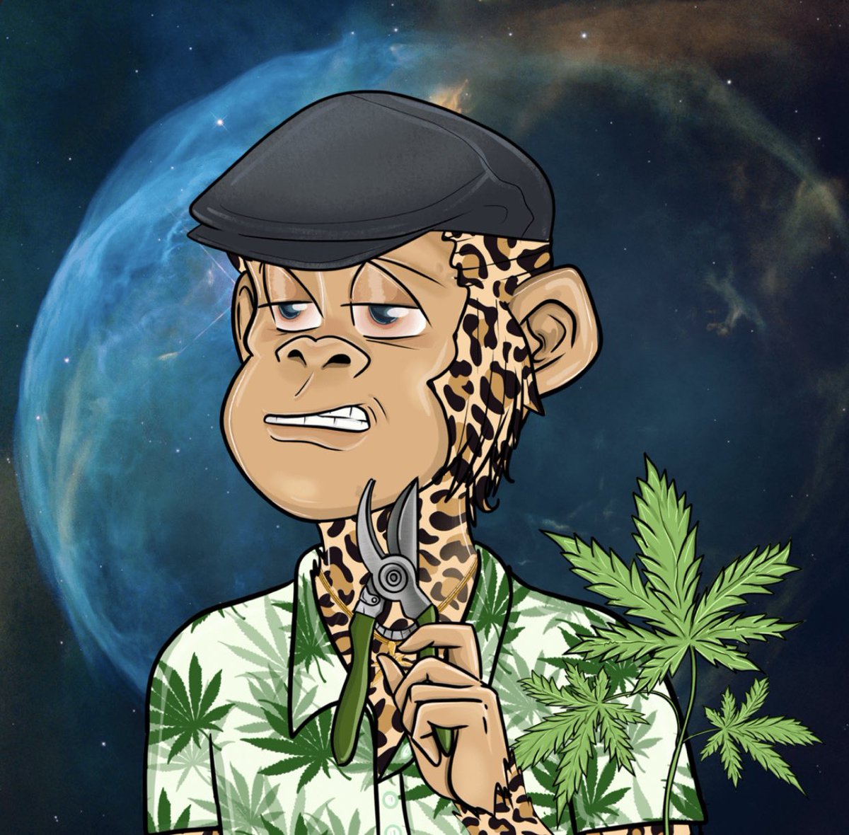 FangSolana's tweet photo. Just bought this @StonedApeCrew 💨💨💨
Do apes follow apes? https://t.co/VPeLwZeDv9