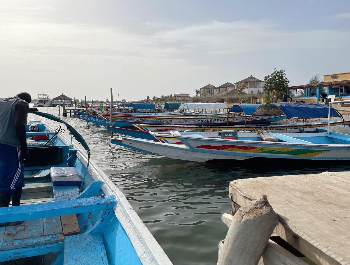 xynotion's tweet photo. Tourism #Senegal the teranga is truly beautiful! #sinesaloum 🏝🚤🏕🛶🇸🇳 https://t.co/VgQuDwTJ5N