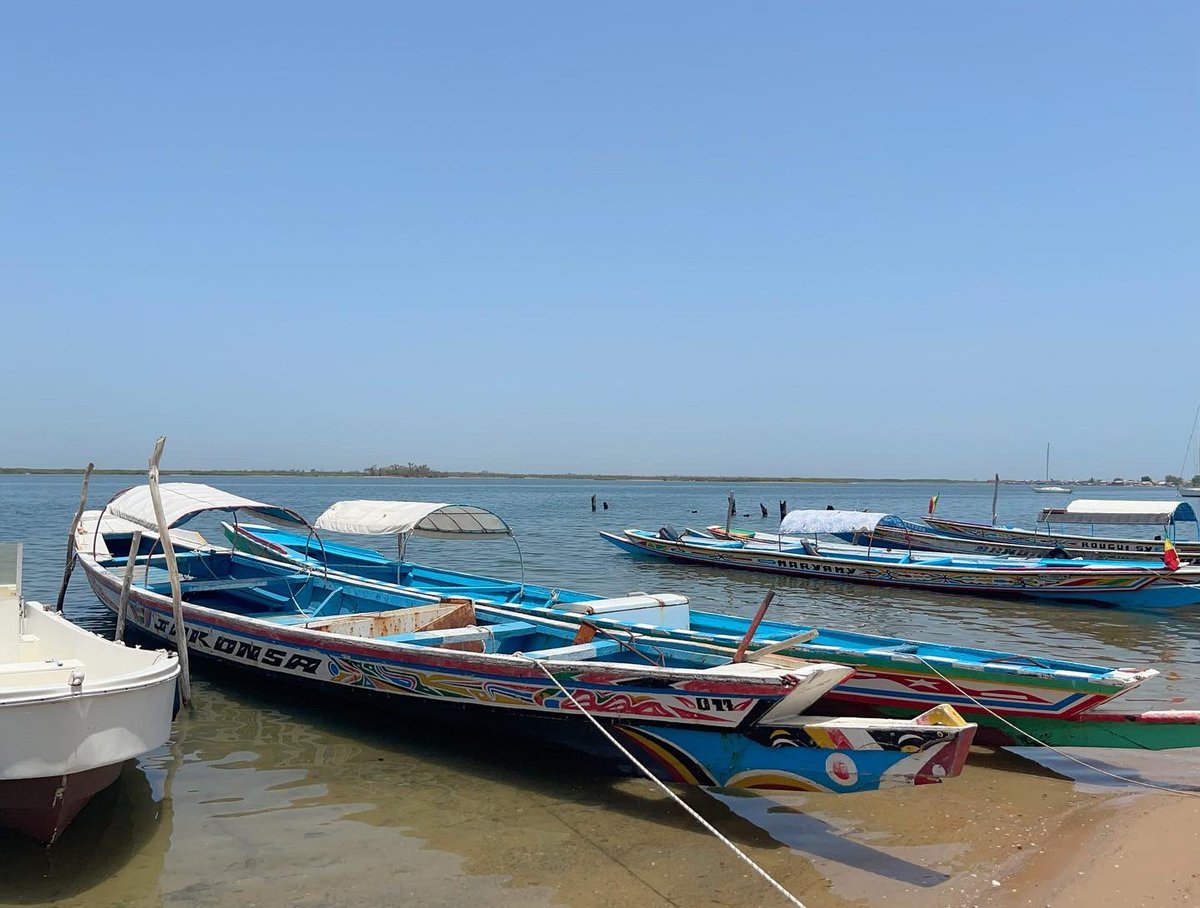xynotion's tweet photo. Tourism #Senegal the teranga is truly beautiful! #sinesaloum 🏝🚤🏕🛶🇸🇳 https://t.co/VgQuDwTJ5N