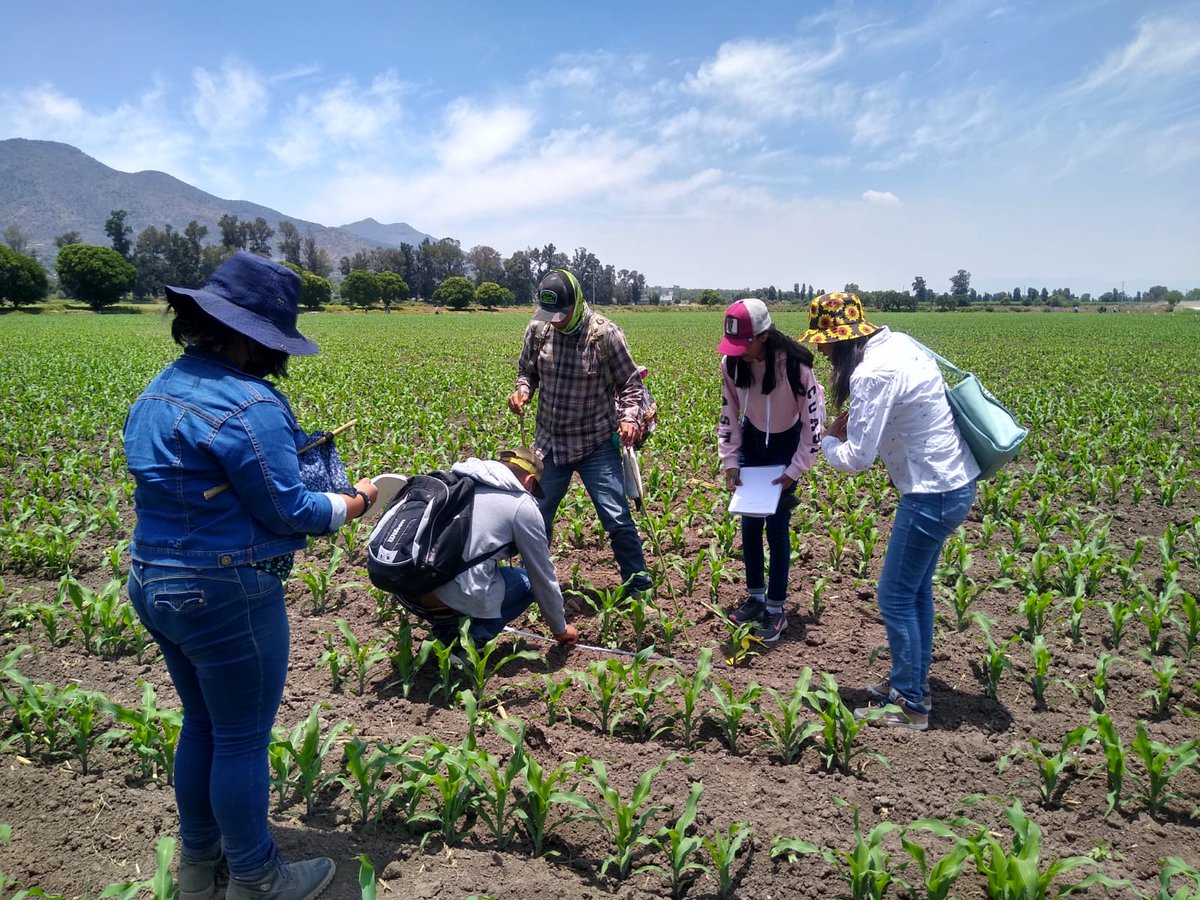 UPFIM_Oficial's tweet photo. El Departamento de Investigación y Desarrollo Tecnológico, promueve las prácticas en el campo experimental de la UPFIM. 
#TodosEnUno 
#IngenieríaEnAgrotecnologíaUPFIM https://t.co/azgXuurkqB