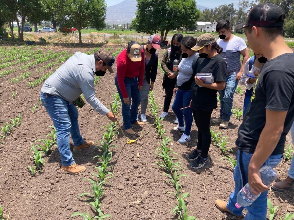 UPFIM_Oficial's tweet photo. El Departamento de Investigación y Desarrollo Tecnológico, promueve las prácticas en el campo experimental de la UPFIM. 
#TodosEnUno 
#IngenieríaEnAgrotecnologíaUPFIM https://t.co/azgXuurkqB