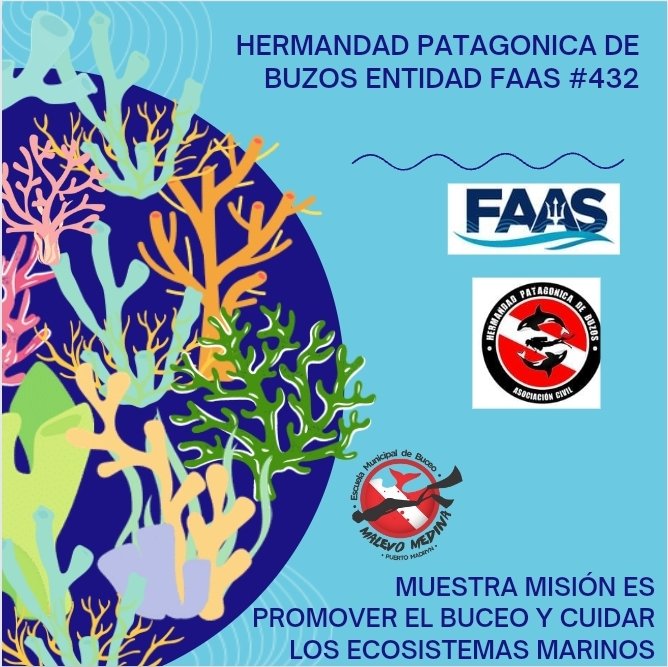 Seguimos sumando,  seguimos creciendo en pro del buceo y su gente!
#capitalnacionaldelbuceo
#federacionargentinadeactividadessubacuaticas