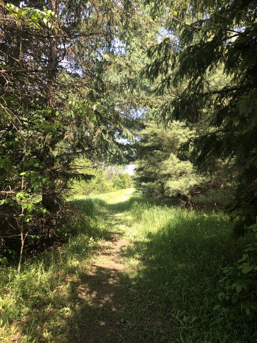 HJHelenKim's tweet photo. Spending extended weekend with best friend and her family at Kawartha Lakes. Had trails all to ourselves and what a gorgeous day! @KawarthaConserv
#time4nature #LakeSturgeon #stepintonature https://t.co/XkvEmYzimj