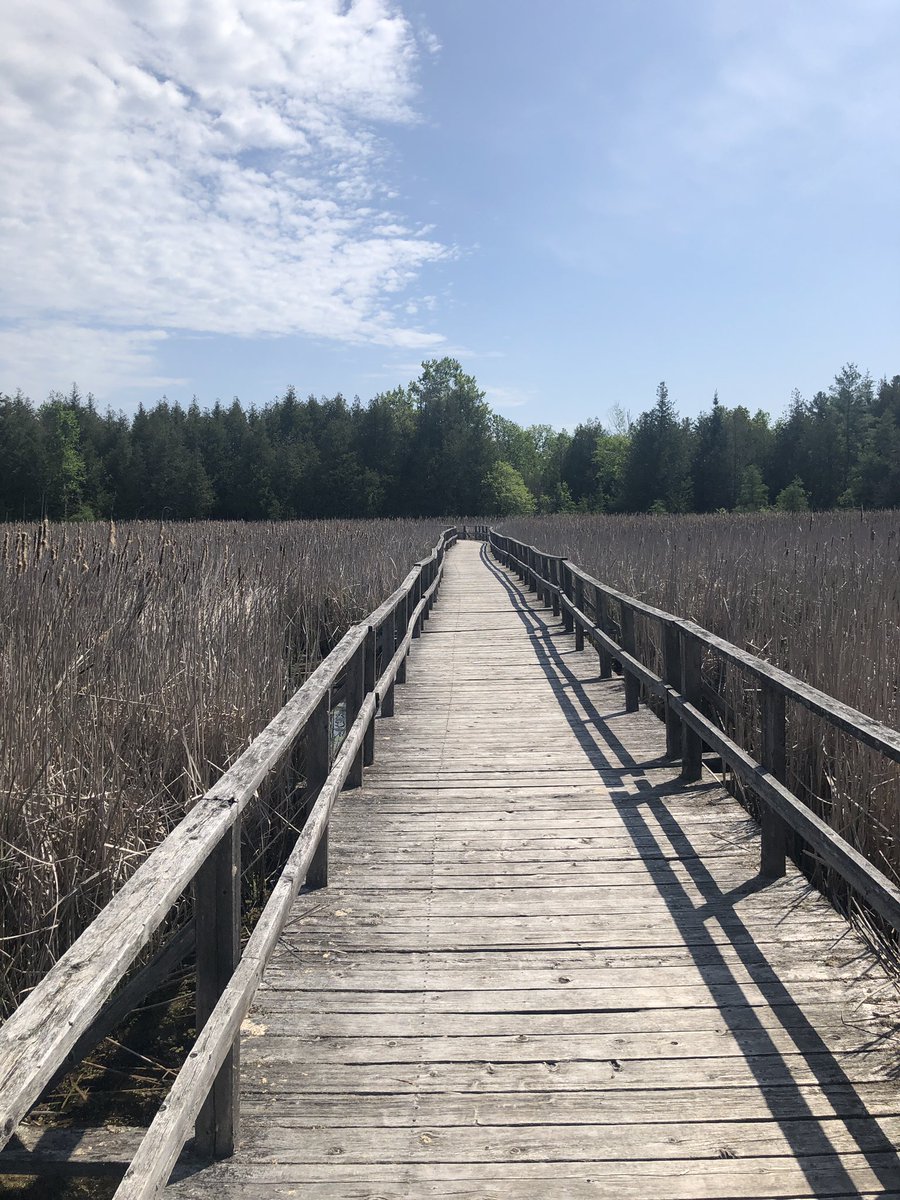 HJHelenKim's tweet photo. Spending extended weekend with best friend and her family at Kawartha Lakes. Had trails all to ourselves and what a gorgeous day! @KawarthaConserv
#time4nature #LakeSturgeon #stepintonature https://t.co/XkvEmYzimj
