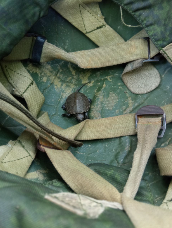 ChatterFax's tweet photo. Found another little thing, they call it Zhorik. Looks like a boy. Meanwhile the units are entrenched and waiting.
#Russia #Ukraine #UkraineWar #RussiaUkraineWar #Avdiivka https://t.co/1mJk7Q5JhH