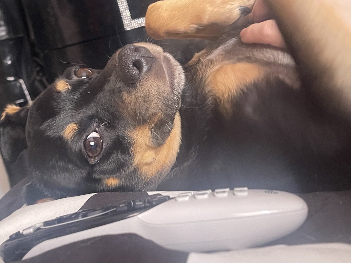 If anyones having a bad day, here is a handsome boy