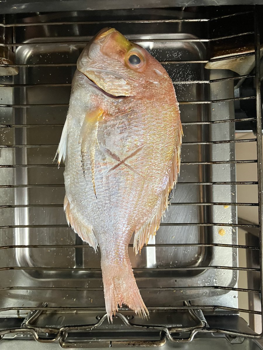 魚漢字クイズ 連子鯛 鯛の連れ子でなんと読む Yahoo Japan