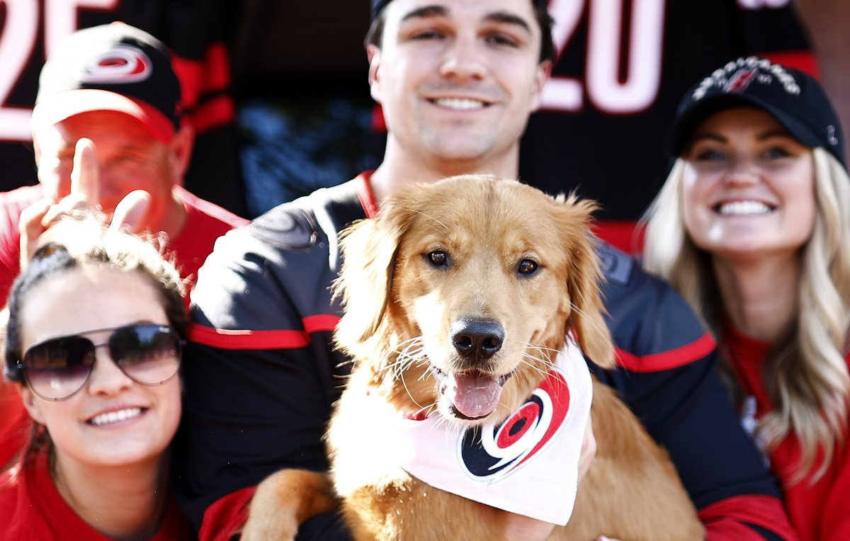 Canes's tweet photo. The goodest boy at the tailgate https://t.co/BPlEkDAOID