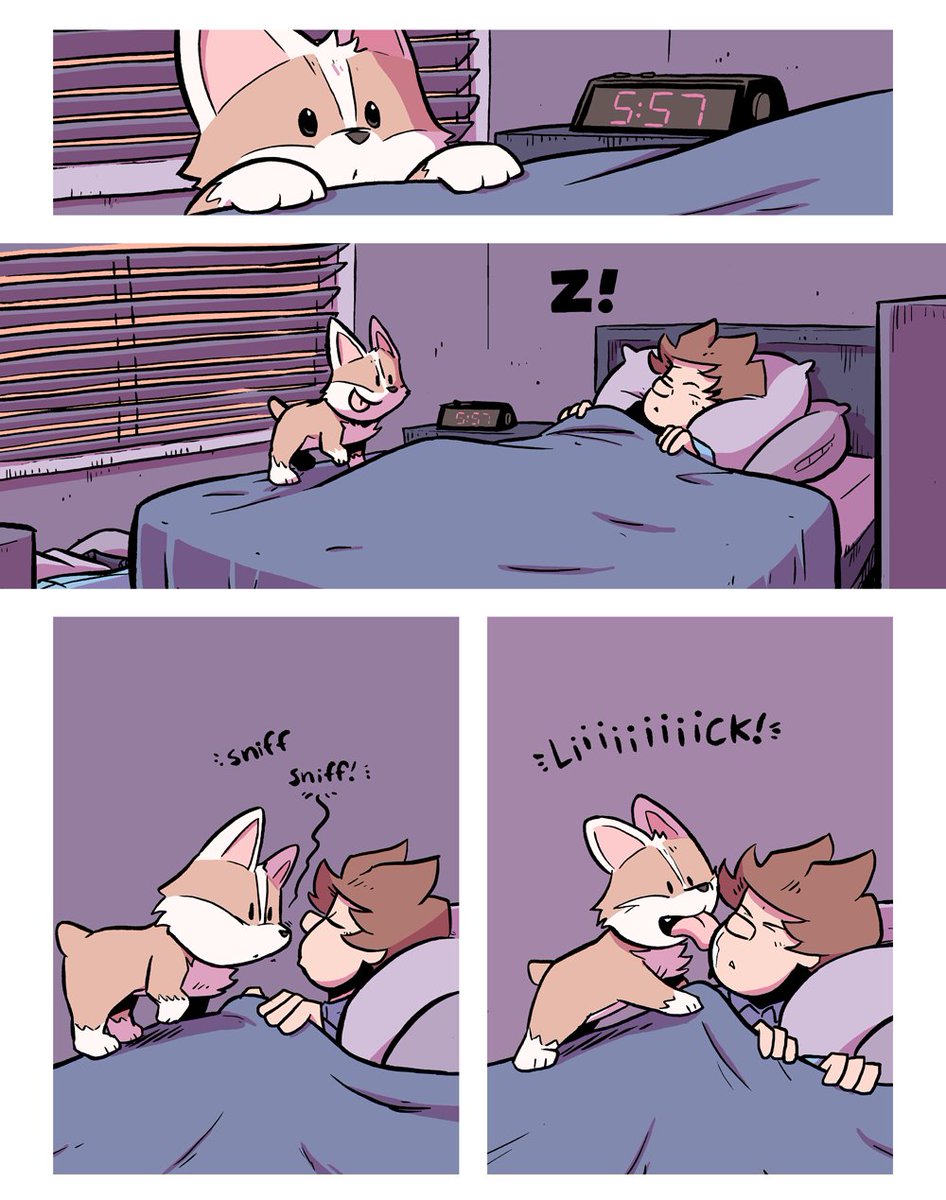 Good morning corgi
https://t.co/QCduV5mHUk 