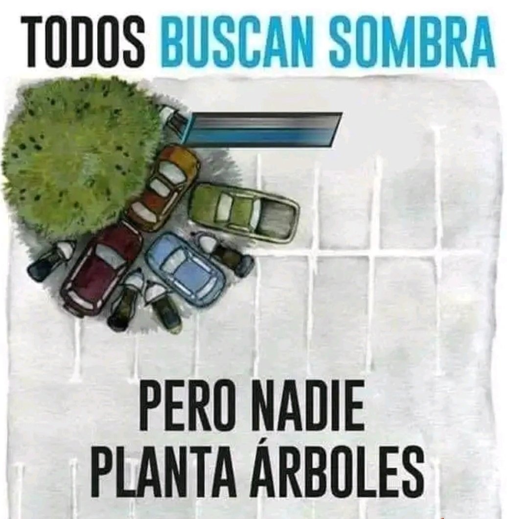 No se pelan una sombra, ni riegan ni siembran...