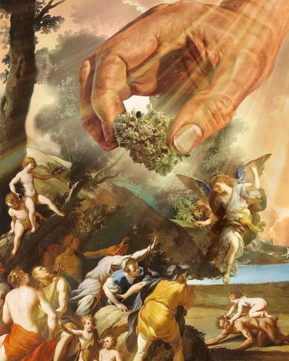 #GodzWeedz #DankDude 
#RealAmericanStoner #PeaceLoveAndHippieBeadz #MakeCloudz #Stoner #DontPanicItsOrganic #SmokeTokeChoke #Pothead #Dank #LegalizeIt #MedicalCannabis #Weed #fUCkPaiN #FreeYourMind #OneLove #pEaCe #Hippie 

The Lord giveth .. 
And the Police taketh away. ✌️😏💨💨