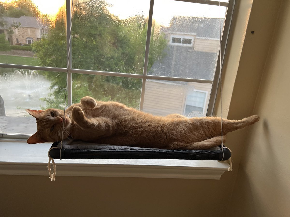 hi guy’s its me, chedor !