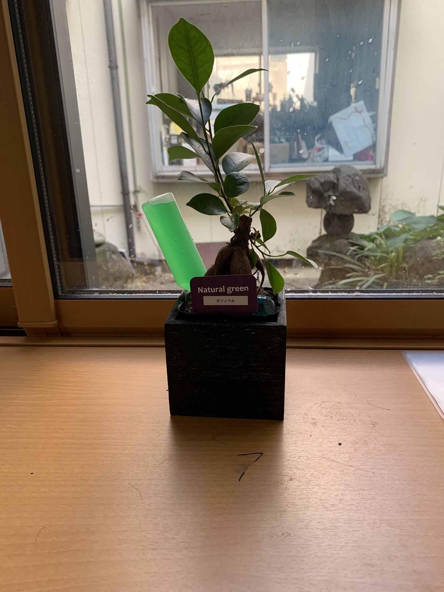 らーめん花火 コロナ休業中プロキックボクサー おはようございます 観葉植物にはまって 観葉植物を置く周辺や部屋をきれいにする 水やりだったり周りの水拭き掃除する いい匂いにする為お香を炊く 科学的根拠はないけどなんか凄く気分が良いです いい気が らーめん花火 コロナ休業中プロキックボクサー おはようございます 観葉植物にはまって 観葉植物を置く周辺や部屋をきれいにする 水やりだったり周りの水拭き掃除する いい匂いにする為お香を炊く 科学的根拠はないけどなんか凄く気分が良いです いい気が