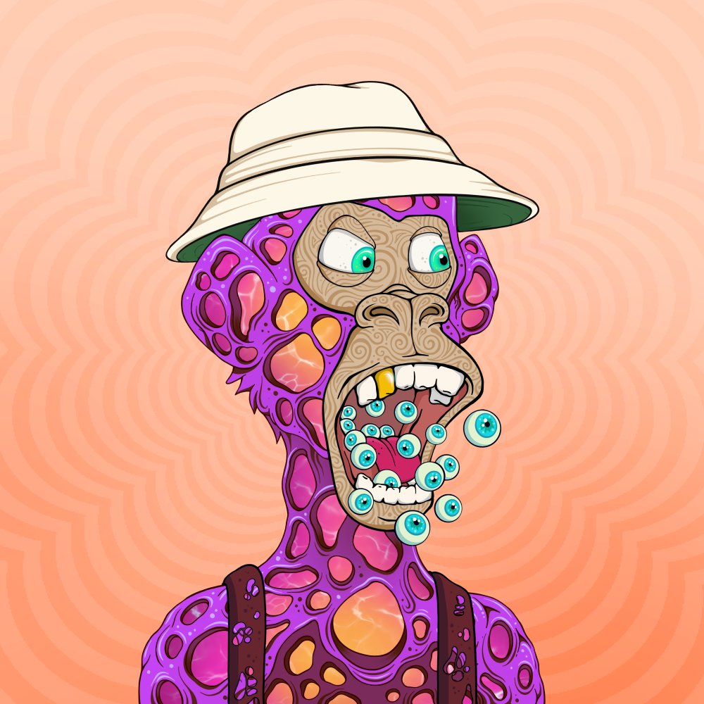 Moekage.S◎L {C̶U̶L̶T̶} tweet media