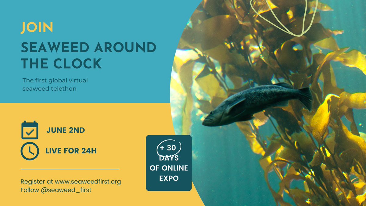 IPRI_UOW's tweet photo. Join us at the first global virtual seaweed telethon @seaweed_first on June 2, featuring @GordonGWallace and @ARC_ACES and IPRI collaborator Pia Winberg from @HealthPhyco.
Register here: https://t.co/t0euObS2Ik
#seaweedfirst #SATC22 #seaweedaroundtheclock #seaweedsolutions https://t.co/lQasbBsDNy