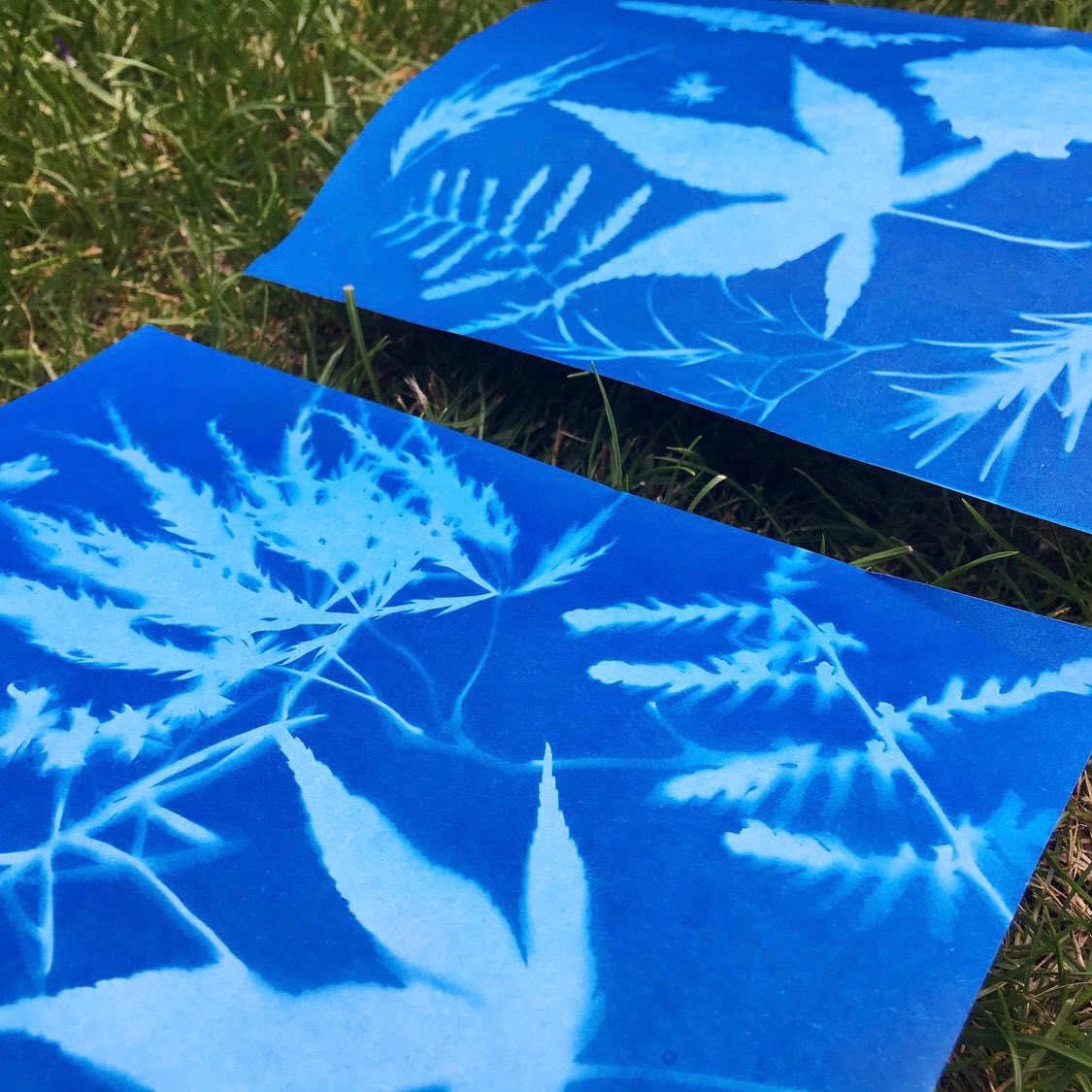 MudandBloom's tweet photo. 🌿☀️Making sun prints is a great outdoor art activity to do with children over summer. The process is fascinating and there’s lot to learn about the sun and shadows. The end result is also very beautiful!
👉🏼https://t.co/bDObFcJJLy
#outdoorlearning #sunprints #mudandbloom #eyfs https://t.co/09PbK7eTvo
