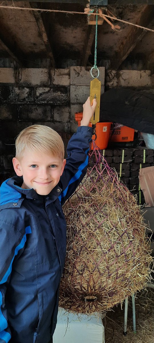 SuzanneMiaJoe's tweet photo. Joe Y4 weighing a hay net he had just filled and checking it weighed 3.5kg @halewoodcofe #reallifemaths #funatthefarm 😊 https://t.co/4oZmqADI3I