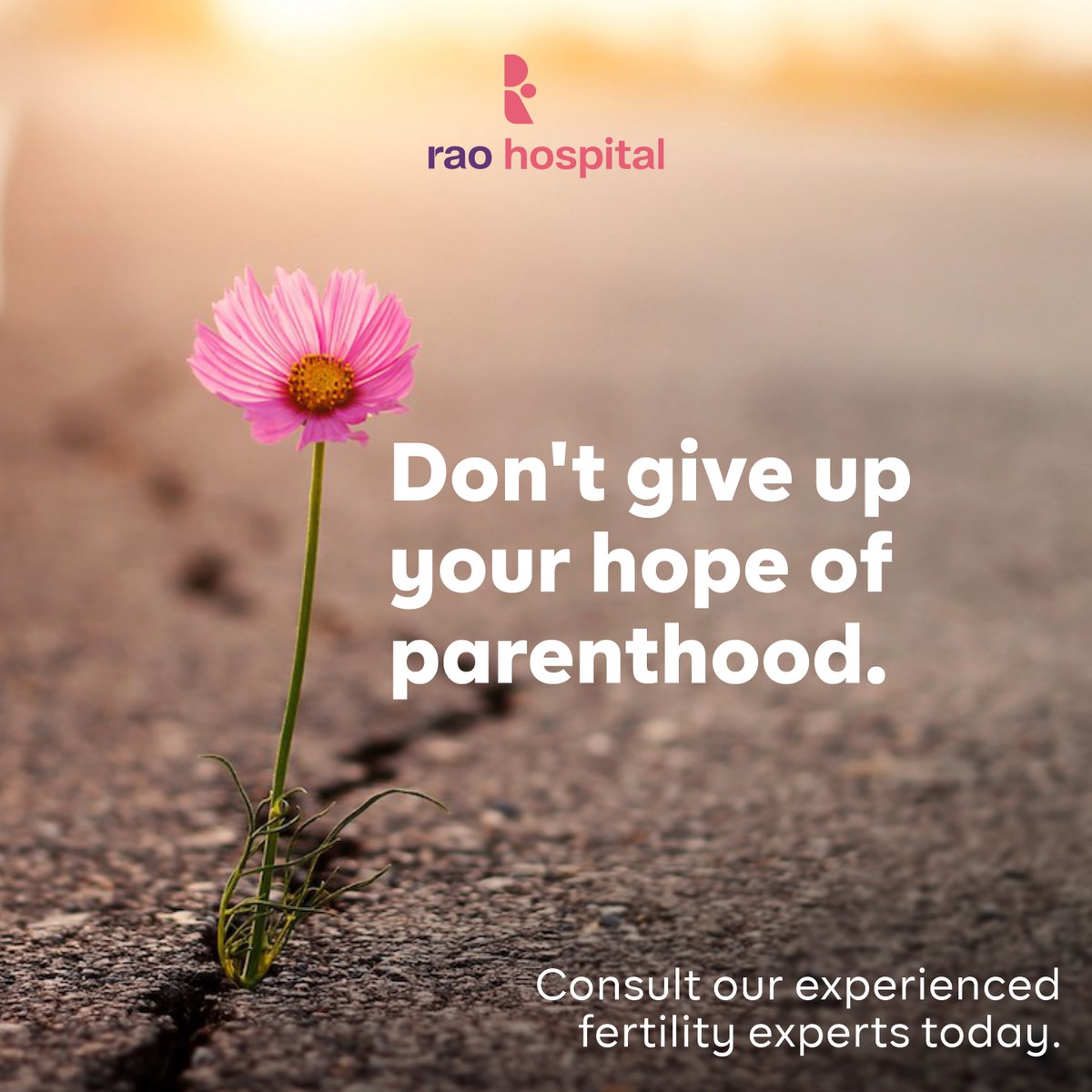 Raohospital's tweet photo. If you've been struggling to get pregnant, don't give up hope. 

Contact our fertility experts today for a consultation.

#Pregnancy #GettingPregnant #Ask #AskMe #AskAnExpert #GetPregnant #RaoHospital https://t.co/QcP4qDMHO0