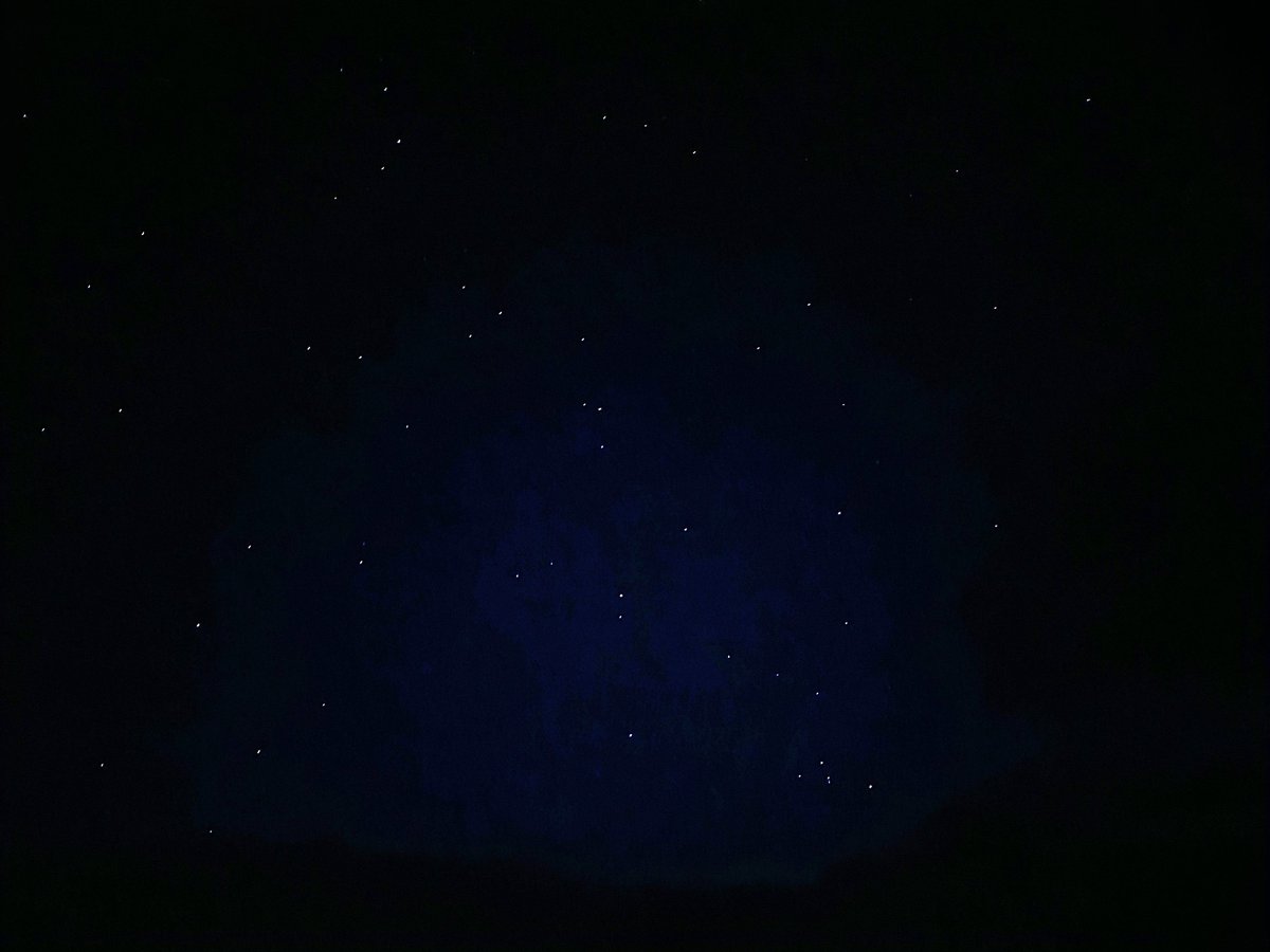 _hauntedgarden's tweet photo. @rhysiedarby @cryptidfactor @leononline @Schreiberland me and my sisters are out in the middle of nowhere trying to see the meteors, killing time in the car with the cryptid factor and literally just saw a UAP/UFO. It was just a white orb that was going in a line but wiggly. 🛸 https://t.co/j6lsq92vzu