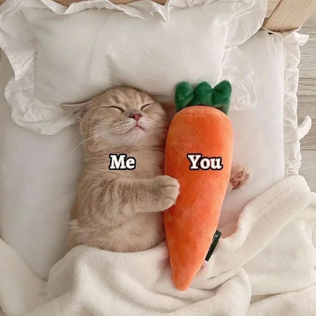 Elin (@elin37608095) on Twitter photo 