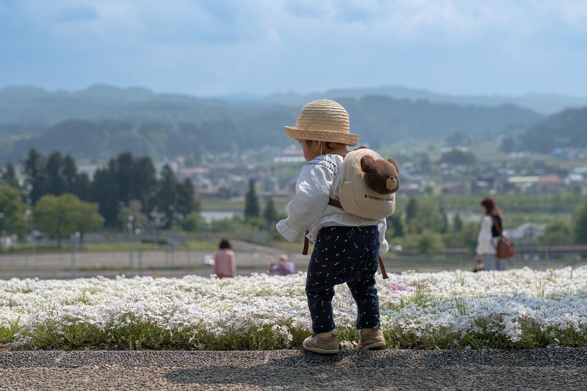 さとる魎魑魑魍魅魍魅 tweet media