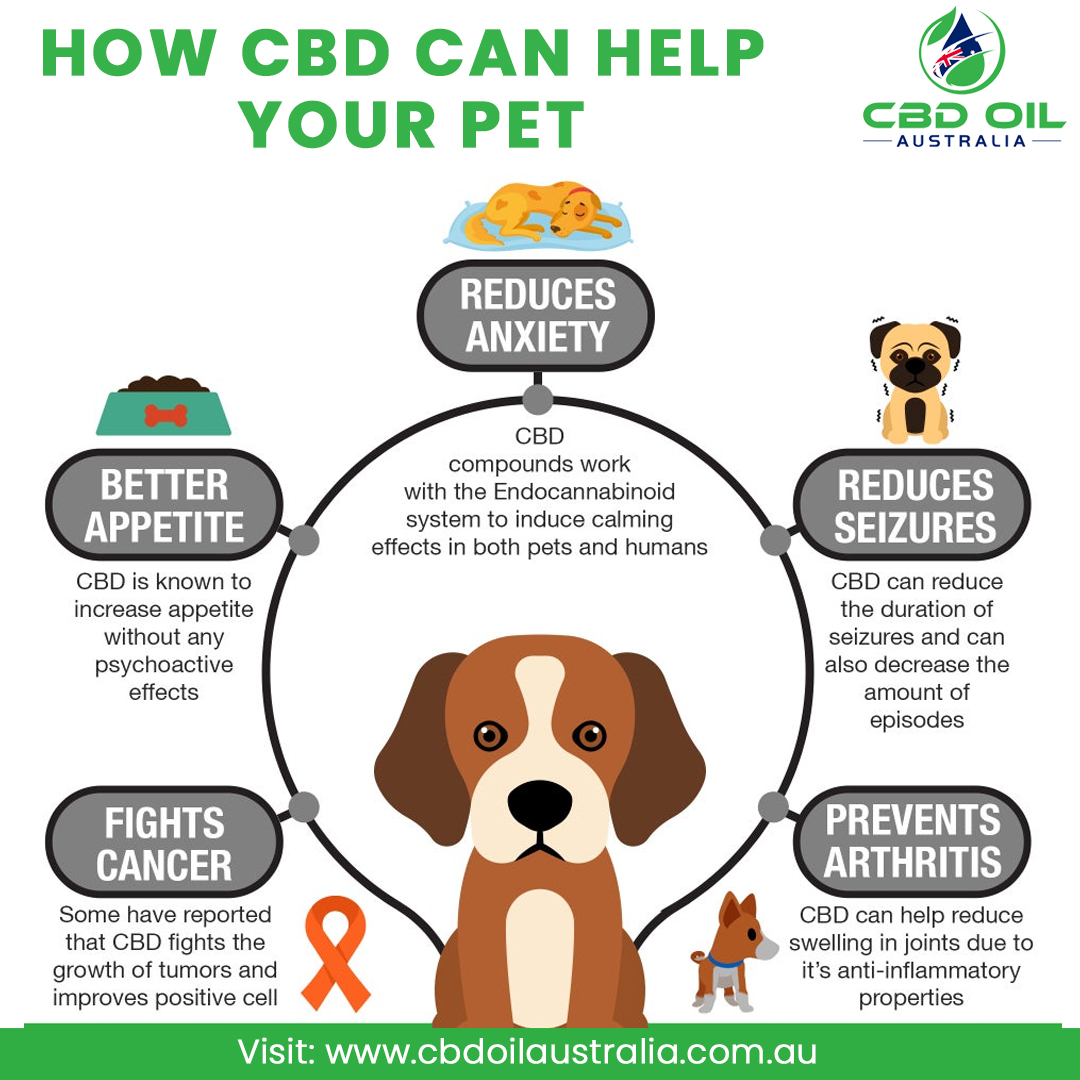Just see how CBD oil can help your pets. Several topicals are infused with additional antioxidants and moisturizing agents to replenish and repair skin
Visit us: cbdoilaustralia.com.au
#cbd #cbdoil #cannabis #cannabidiol #cbdcoffee #cbdgummies #WorldNoTobaccoDay2022