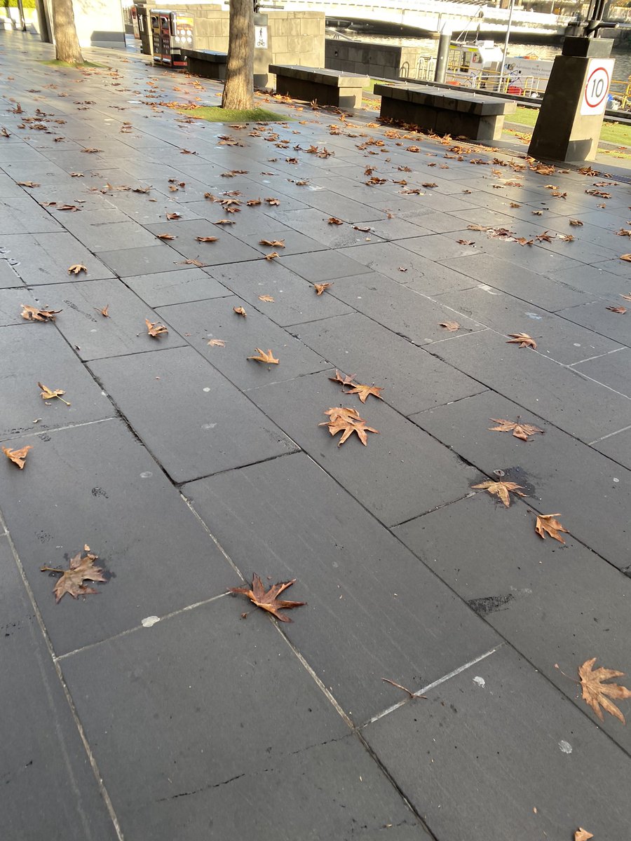 DrMelNaidoo's tweet photo. Excited to be back in Melbourne and attending @digitalhlthfest in person but it is a little chilly 🥶 #DigitalHealth #ehealth #medtech https://t.co/RtkUWCqhFw