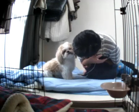 aba_mugi's tweet image. 外出先からペットカメラ見てみたらちょうどすごい瞬間を見てしまい、
浮気現場を目撃したかのような感覚になった🫣