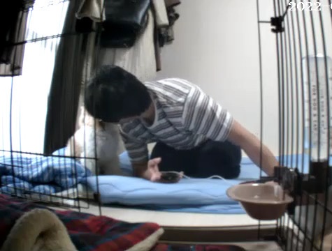 aba_mugi's tweet image. 外出先からペットカメラ見てみたらちょうどすごい瞬間を見てしまい、
浮気現場を目撃したかのような感覚になった🫣