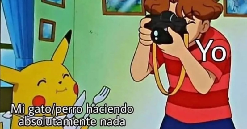 estudihambre's tweet photo. https://t.co/IDlQZqv2ZM