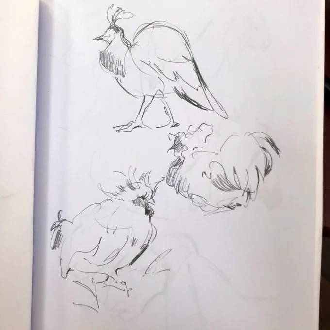 Chimken 