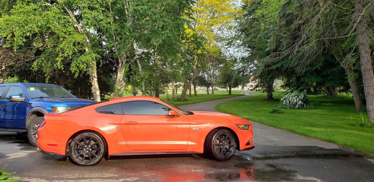 CseStonks's tweet photo. @OfEchelon Damn right it did! Just took delivery of this 5.0 last week: Paid for in full by uncle BIL.N...Bought it in 'EXPO livery' because well, EXPO's the future and its gonna pay for my next set of wheels...
#CseBIL #CSE https://t.co/BfwvVv0LEX