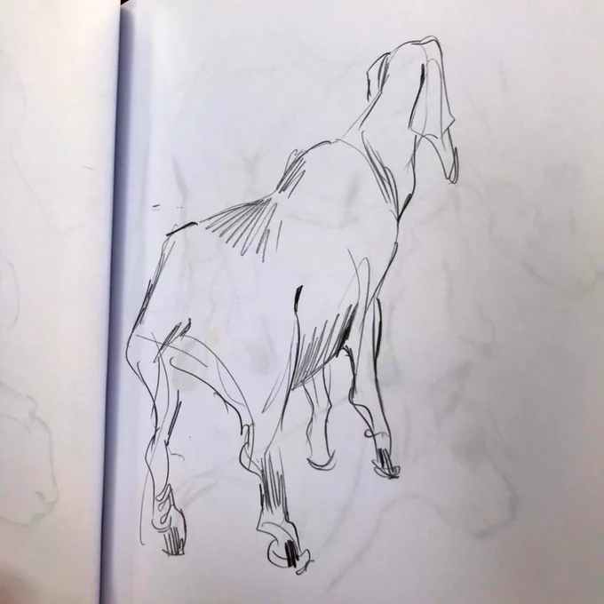 Hoof 