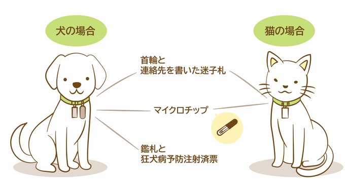 株式会社ワールドエクイップス