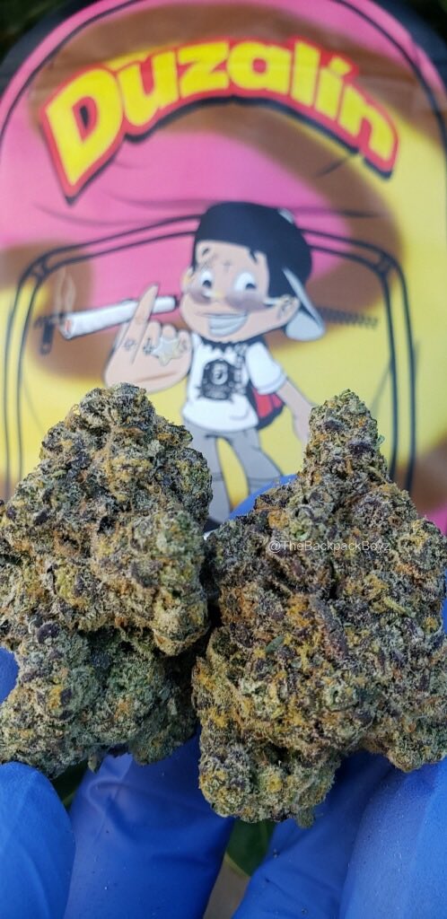 DUZALÍN #DUZALÍN #TheBackpackBoyz