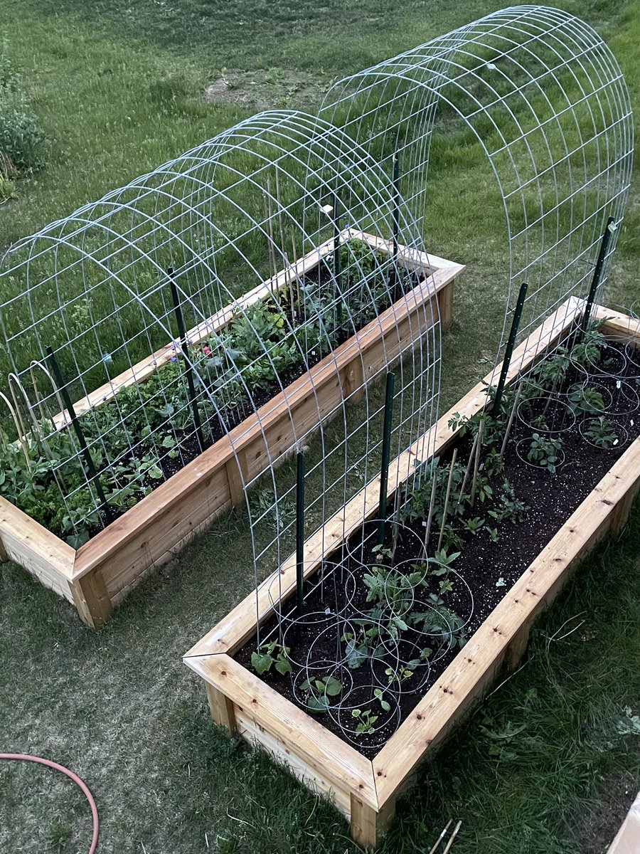 You’re never really done with gardening as you replace spent plants, but all the heat loving plants are in and the trellises are up!