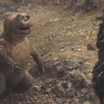 Photo by Godzilla, King Of The Monsters (@GodzillaSays)