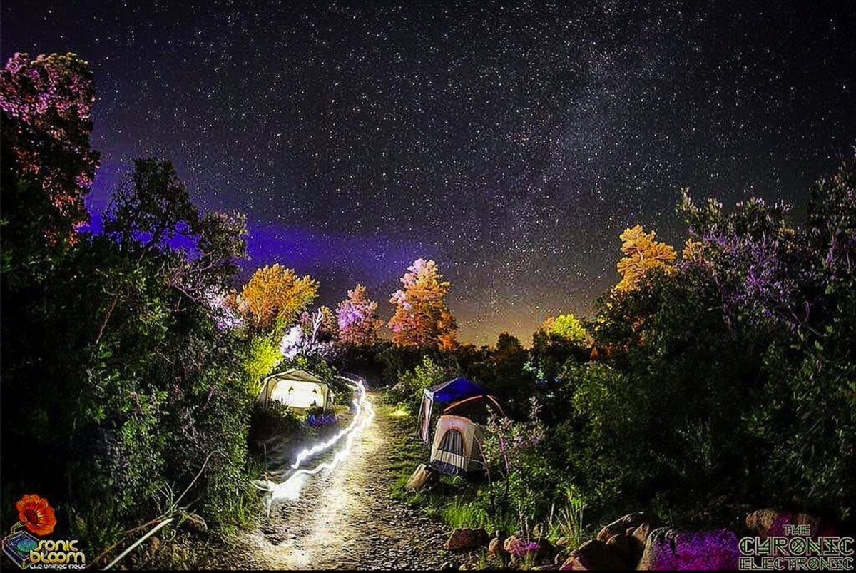 codylbgrant's tweet photo. I am ready to come to life at @SONIC_BLOOM featuring many of my favorite artists like @duffreymusic @VibeSquaD @DetoxUnit and more!

( @Blackspy_promo ) https://t.co/VYpzcVgzx1