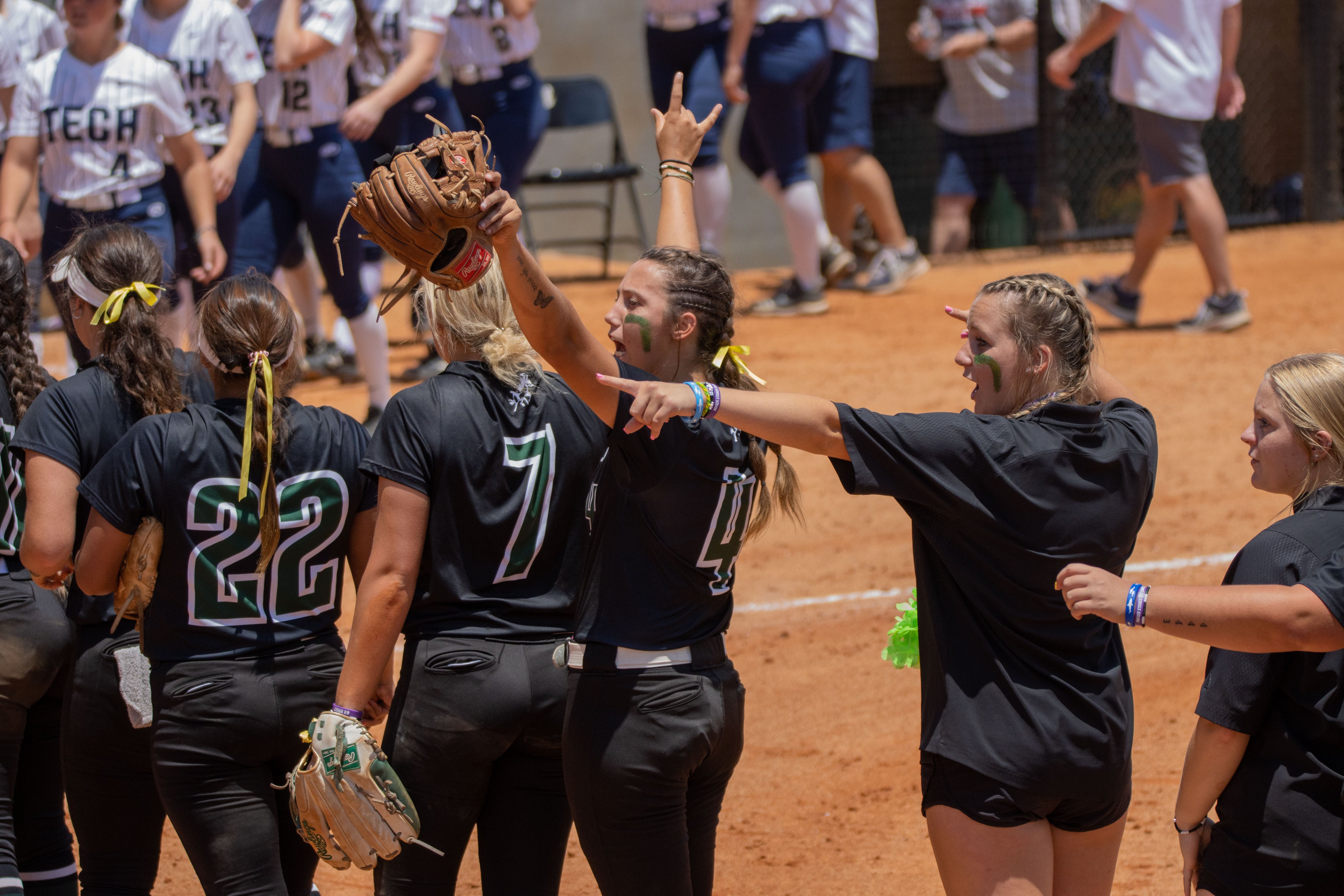 Naia National Softball Tournament 2024