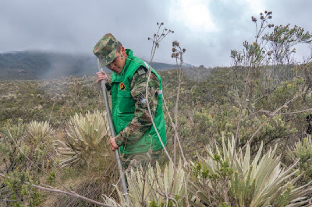 COL_EJERCITO's tweet photo. El SL18 Juan Camilo García es gestor ambiental, del #BITER13, unidad que tiene responsabilidad ambiental en el cuidado y protección del páramo de Sumapaz, el más grande del mundo. Más detalles en #EnGuardia >> https://t.co/OKTBD1Sw3r https://t.co/IQXx9SxGk6