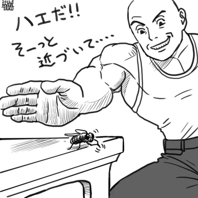 暖かくなってハエが五月蝿い季節になってきました。

 #猫フク 