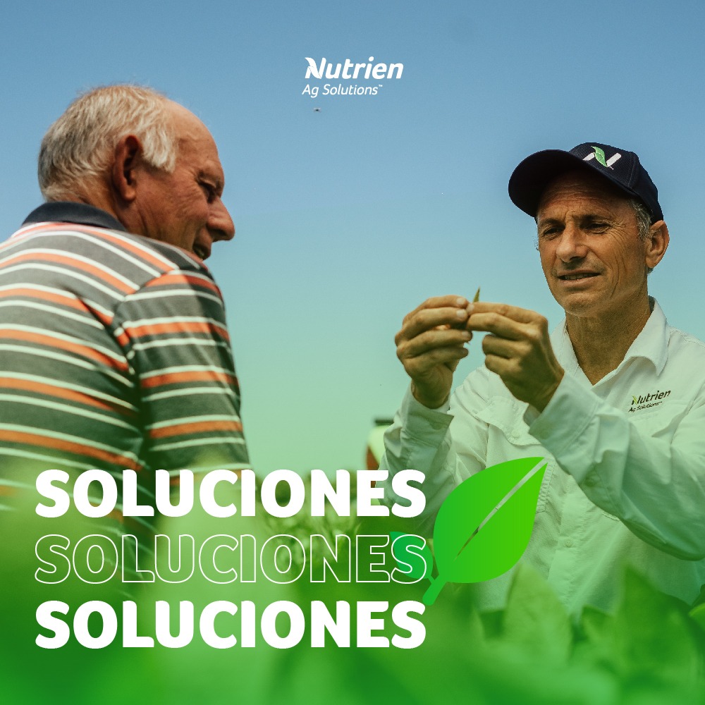 🙌🏻 Conocé nuestra propuesta de valor integral y juntos lideremos tu Lote. 
🤝 Te brindamos soluciones a medida en cada ciclo de tu cultivo. 
Somos Nutrien. Somos tu aliado.
.
#NutrienAgSolutions #LideraTuLote