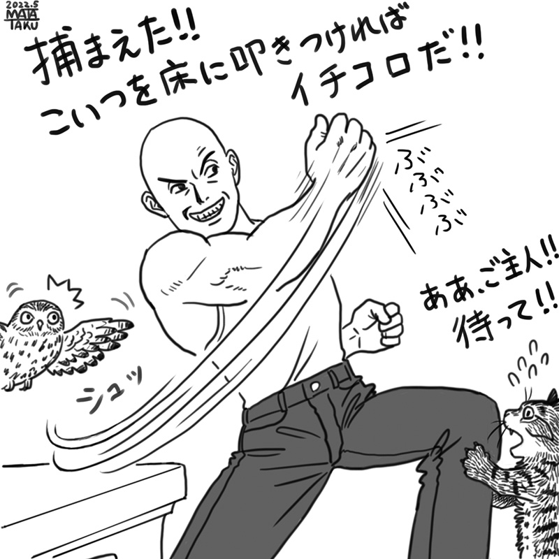 暖かくなってハエが五月蝿い季節になってきました。

 #猫フク 